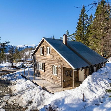 Villa Norgesferie I Sirdal Sinnes Exterior foto