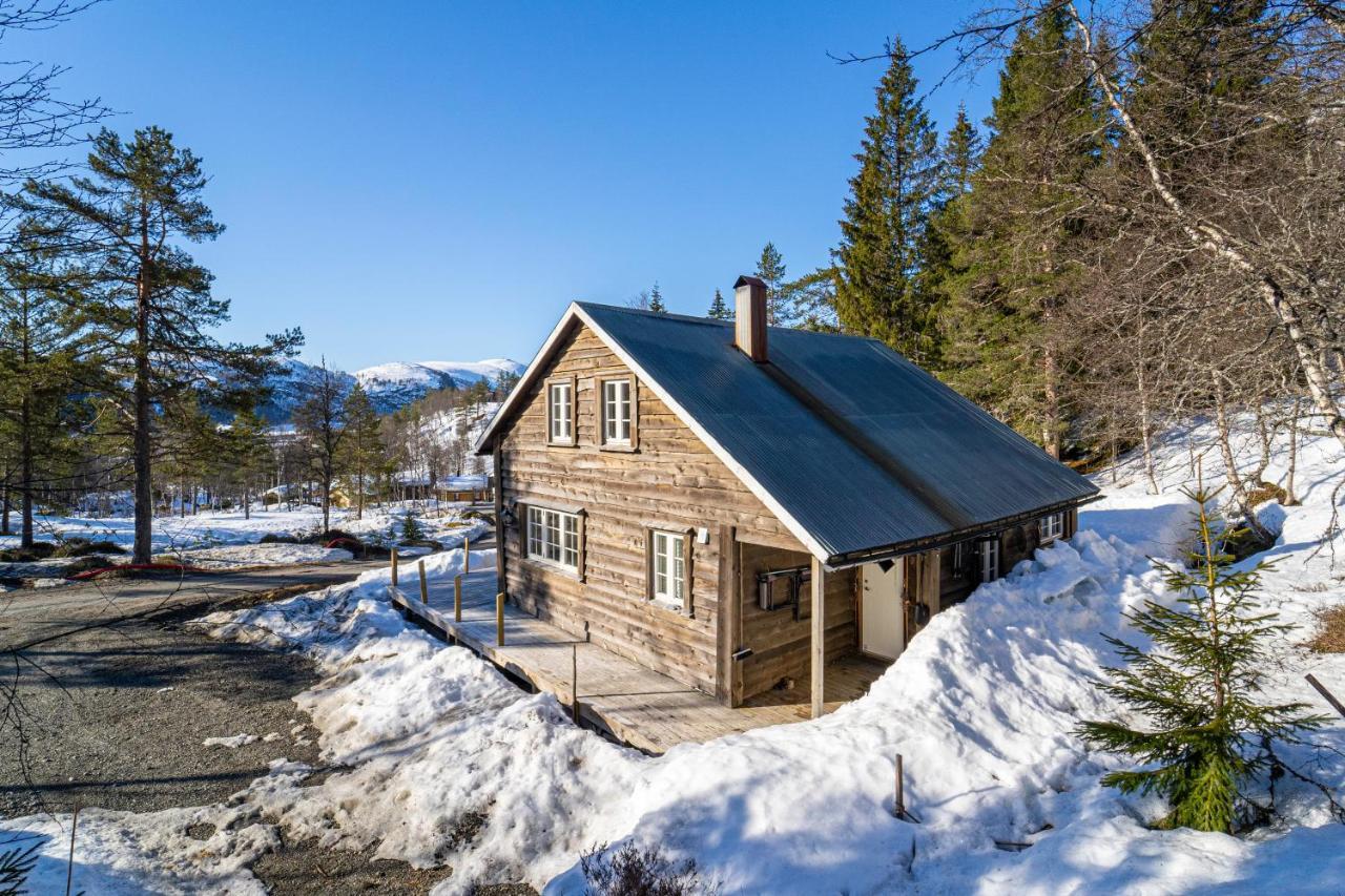 Villa Norgesferie I Sirdal Sinnes Exterior foto